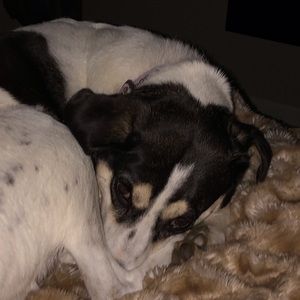 Meet your Posher, Deborah